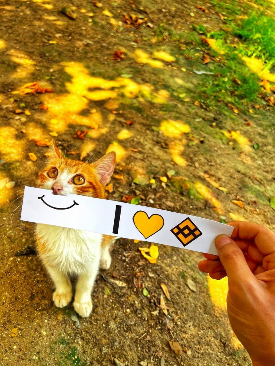 Close-up of the cat's handwritten smile and the yellow heart on its paper.